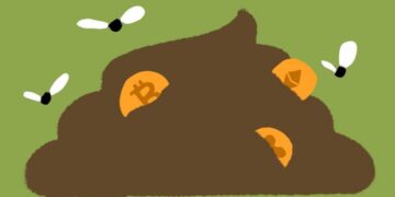 What this year in crypto has taught us