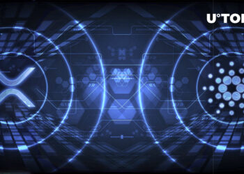 Cardano (ADA) and XRP ‘Fight’: Understand What’s Going On