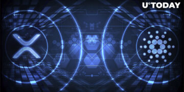 Cardano (ADA) and XRP ‘Fight’: Understand What’s Going On