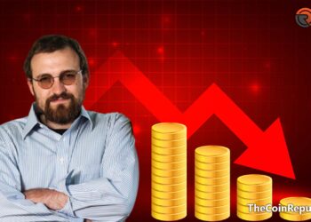 Cardano Based Stablecoin Project Ardana Backoff, Hoskinson Addresses the Issue – The Coin Republic