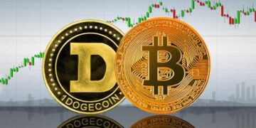 Doge vs Bitcoin: what to choose for a beginner?
