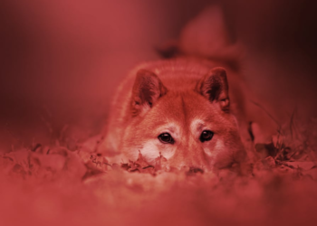 This Week in Coins: Bitcoin and Ethereum Fall With Stocks, Dogecoin Dives 20%