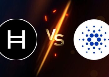 Hedera Vs. Cardano – What’s the Difference?