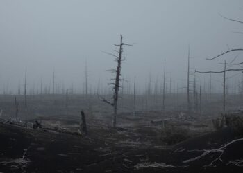 Crypto Market’s Near-Apocalypse in 2022 Turns Zombie Tokens Into Dead Coins