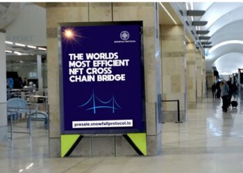 If Polkadot (DOT) and Cardano (ADA) are depleting your investment, turn to Snowfall Protocol (SNW)