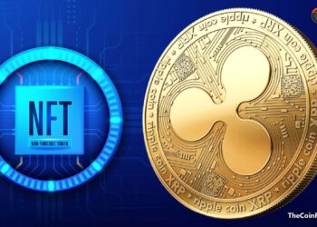 Ripple CTO is Still Obsessed with Carbon Credit and Gaming NFTs