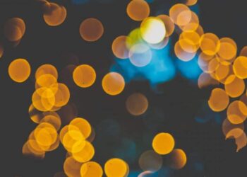 Polkadot [DOT] out-competes Solana and Cardano in these metrics