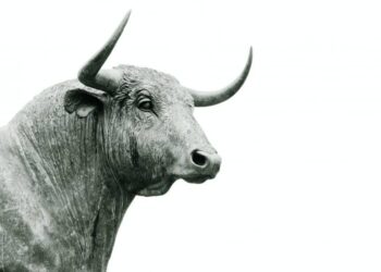 Ripple (XRP) Price Prediction 2025-2030: Will XRP benefit from the crypto winter?