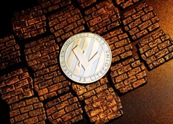 Litecoin Continues To Slide, Now Below Shiba Inu In Market Cap