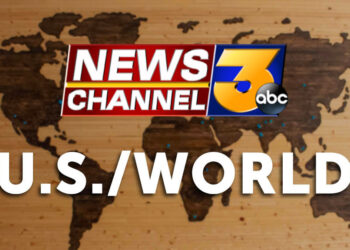 Shiba inu who inspired ‘doge’ meme is seriously ill with leukemia