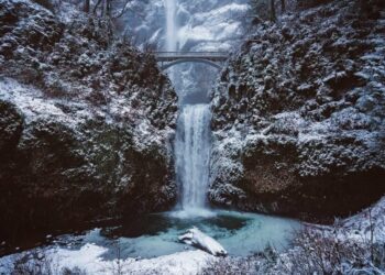 As Litecoin fails to hold onto November gains, here is what traders can expect