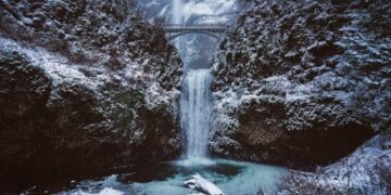 As Litecoin fails to hold onto November gains, here is what traders can expect