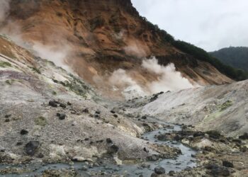 What’s Next For Investors As Cardano Threatens To Slip?