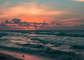 Cardano’s ‘swelling’ wallets should have ADA investors gazing- Here’s why