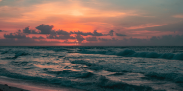 Cardano’s ‘swelling’ wallets should have ADA investors gazing- Here’s why