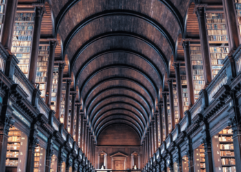 Are these Litecoin holders attempting to ‘fill the void’ left open by LTC