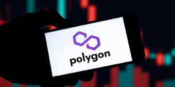 Who Owns The Most Polygon?