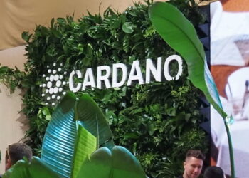 Cardano Network Recovers After Short-Lived Node Outage