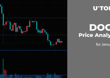 DOGE Price Analysis for January 1