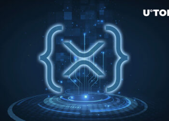 XRPL Top Use Cases in 2023 Indicated by Community