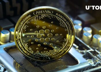 Did Half of Cardano Network Nodes Actually Go Offline? Here’s What Happened