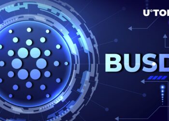 Cardano (ADA) Now Supports BUSD Seamlessly with This Bridge Solution