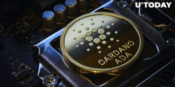 Here’s Where Cardano (ADA) Formed Crucial Support as Profitability Reaches 25%