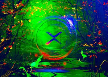 Ripple CTO Addresses XRP Price Doldrums, Compares Crypto to Internet in Early 2000s