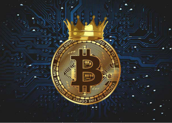 How To Master Cryptocurrency Trading? Here’s A Step-By-Step Guide