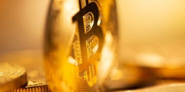 Traders and Investors Are Bullish on These Two Altcoins By CoinEdition