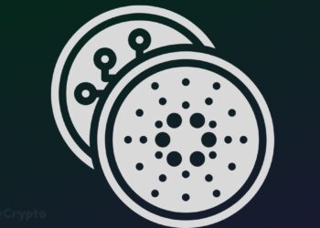 Cardano Is Buzzing With Super Bullish Activity As ADA Adoption Expands To New Realms ⋆ ZyCrypto
