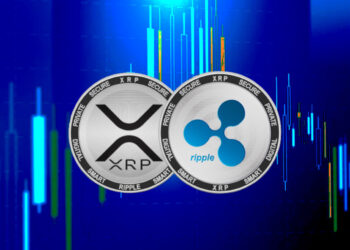 BNB and XRP slips, Cardano is Up by 2%