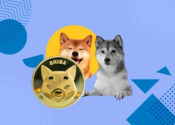 Shiba Inu is the Most Popular Starter Coin