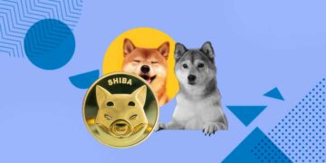 Shiba Inu is the Most Popular Starter Coin