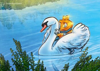 What is Swan Bitcoin and how does it work?