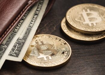 Blockchain Wallet: How It Works, Security and More