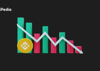 Bitcoin Price Might Drop To $12K, While BNB Price Poised To Crash 80%