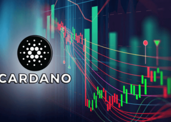 Cardano and Solana Shoot Up 20% In Strong Market Rally