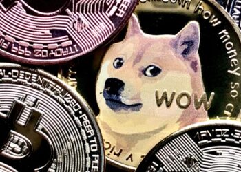 Dogecoin Co-Founder Shares Update On Kabosu: ‘Going On Walks And Eating Again’ – SHIBA INU (SHIB/USD), Dogecoin (DOGE/USD)