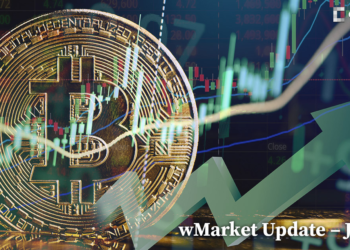 Solana and Cardano lead market recovery