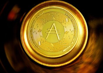 Everything About The Altcoins One Must Know