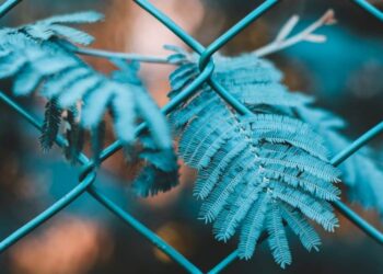 Chainlink (LINK) Price Prediction 2025-2030: Could LINK reach its $9 high soon?