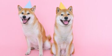 What is ShibaSwap and How Does It Work?