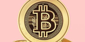 Crypto Price Today: Bitcoin regains $23,000; Cardano rallies 4%, Solana drops