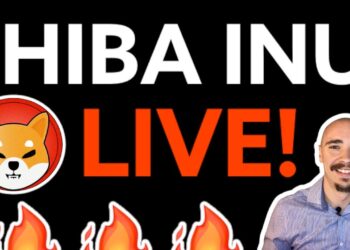 SHIBA INU LIVE! SHIBA INU COIN PUMPING! LIVE CHART!