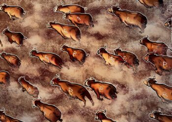 ‘One of the greatest’ Bitcoin metrics says BTC price bull run is here