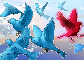 Shiba Inu Burn Twitter account experiences suspension