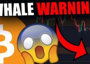 THE WHALES DUMPING BITCOIN DATA REVEALED [This is the next Bitcoin move…..]