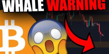 THE WHALES DUMPING BITCOIN DATA REVEALED [This is the next Bitcoin move…..]