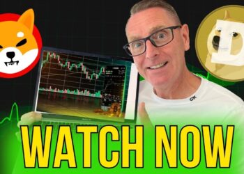 SHIBA INU COIN, DOGECOIN & BONE – Buy Now or Wait?